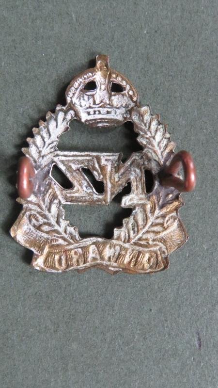 New Zealand Army WW1 'Expeditionary Force' Collar Badge — image 2