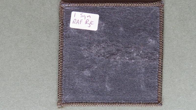 Royal Air Force Regiment 1 Squadron Shoulder Patch — image 2