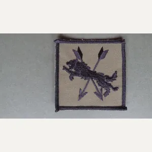 Royal Air Force 2623 Squadron RAuxAF Regiment Soulder Patch