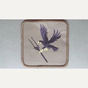 Royal Air Force Regiment 66 Squadron (Disbanded) Patch