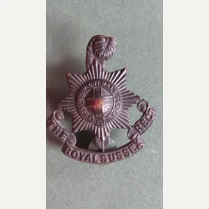 British Army The Royal Sussex Post 1903 Officers Service Dress …