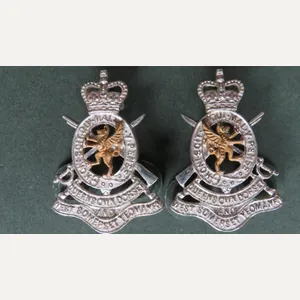 British Army The Queen's Own Dorset & West Somerset Yeomanry …