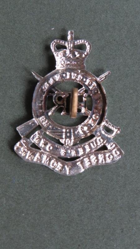 British Army Post 1953 The Queen's Own Dorset Yeomanry Collar Badge — image 2