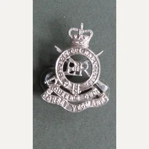 British Army Post 1953 The Queen's Own Dorset Yeomanry Collar …