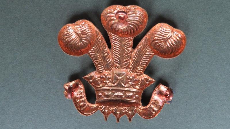 British Army The Royal Wiltshire Yeomanry (Prince of Wales's Own) NCO's Arm Badge — image 2