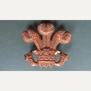 British Army The Royal Wiltshire Yeomanry (Prince of Wales's Own) …