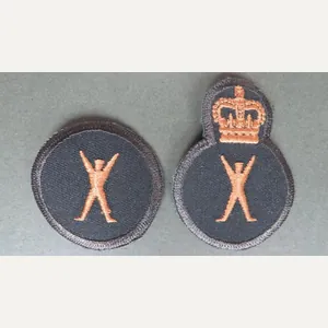 Canada Army 'Physical Training Instructor' Trade Badges Groups 1 & …