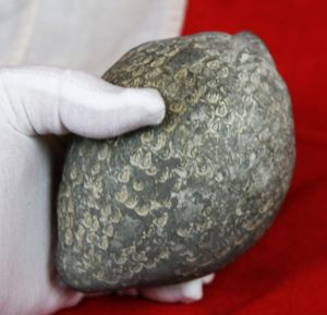 One of The Rarest We Have Ever Seen, An Early …