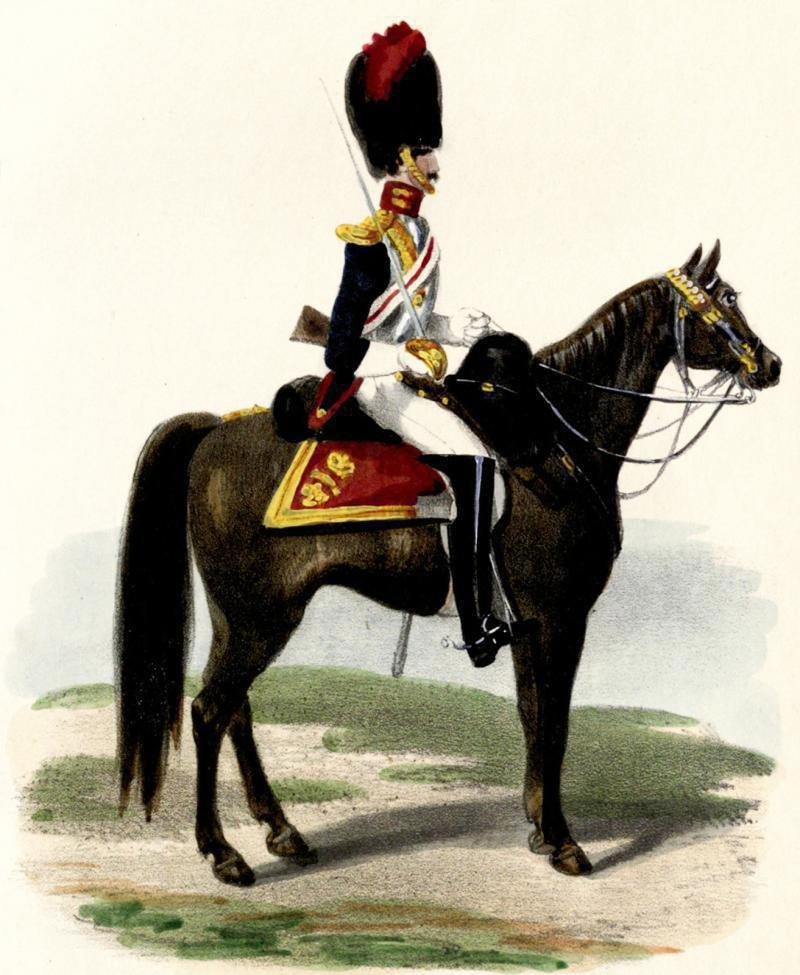 Original, Antique, Victorian Household Cavalry Armour Breastplate Cuirass of the LifeGuards, The Blues &The Royals. The Mounted Personal Bodyguard Regiments of the British Monarch, Part of The Household Division Crimean War Era — image 8