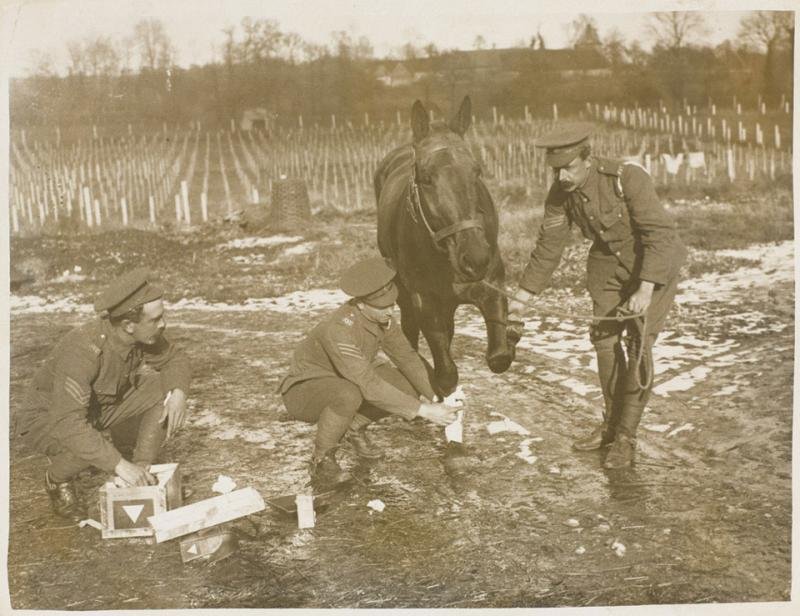 A Group Of WW1 Medals for the Army Veterinary Corps. Of a WW1 Trio, Special Enlistment. & The King's Medal An LCC Medal 1914-15 for Attendance, Conduct and Industry As A London Schoolboy, Straight from School as a Special Enlistment To The Western Front — image 7