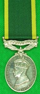 GVIR TERRITORIAL EFFICIENCY, ROYAL.WILTSHIRE.YEOMANRY