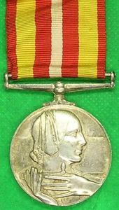 VOLUNTARY MEDICAL SERVICES MEDAL