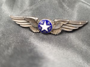 WWII ERA NATIONAL ASSOCIATION OF AIR FORCE WOMEN WINGS