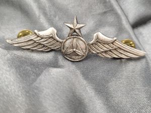 CIVIL AIR PATROL WINGS