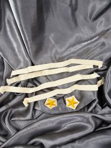 WWII US NAVY WAVES BRAIDS AND STARS