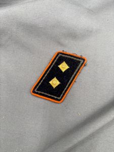 WWII GERMAN POSTSHULTZ COLLAR TAB