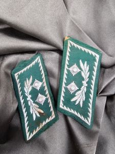 WWII GERMAN CUSTOMS SERVICES COLLAR TABS