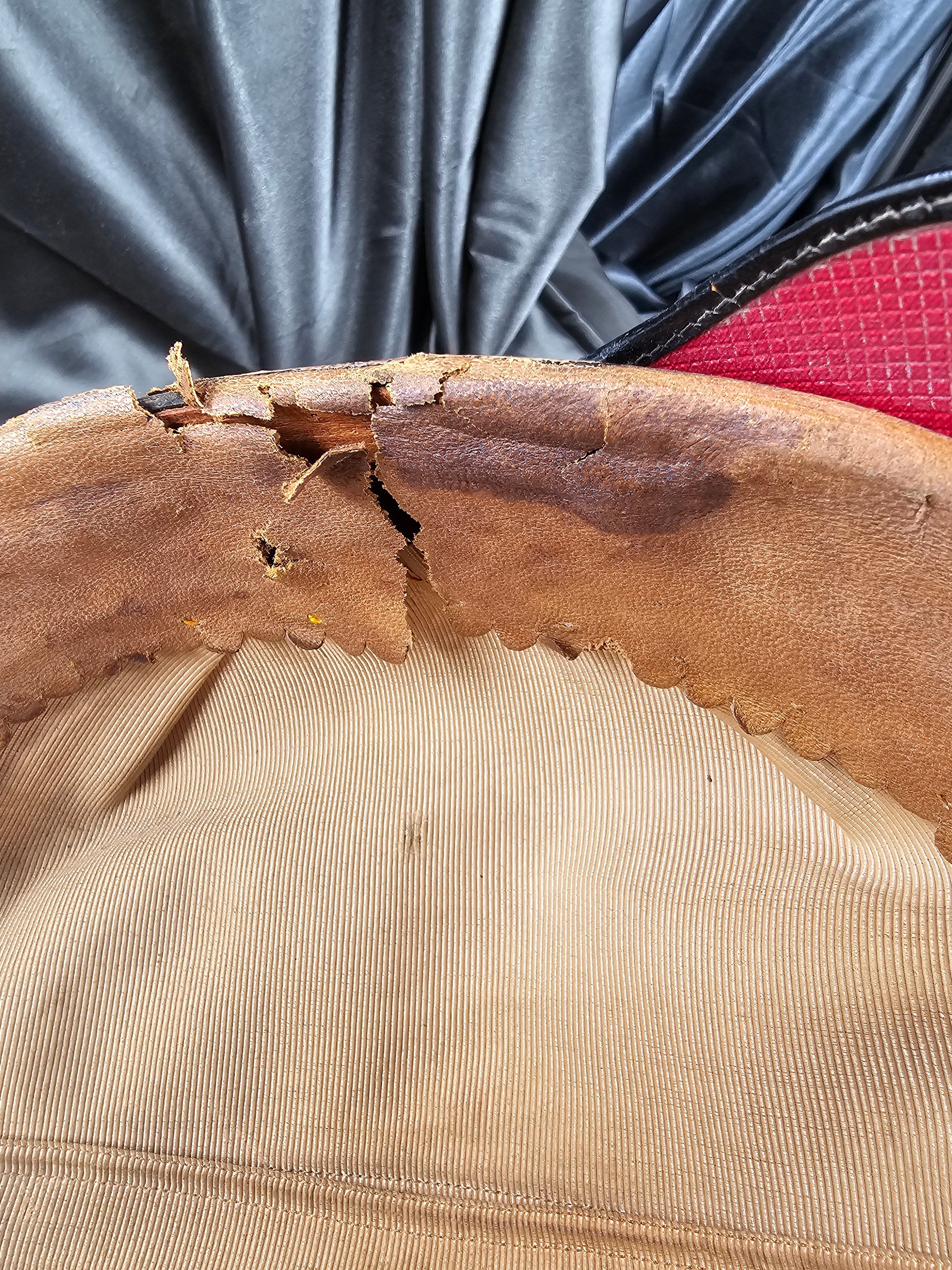 WWI ERA HESSEN GERMAN OFFICER PICKELHAUBE — image 9