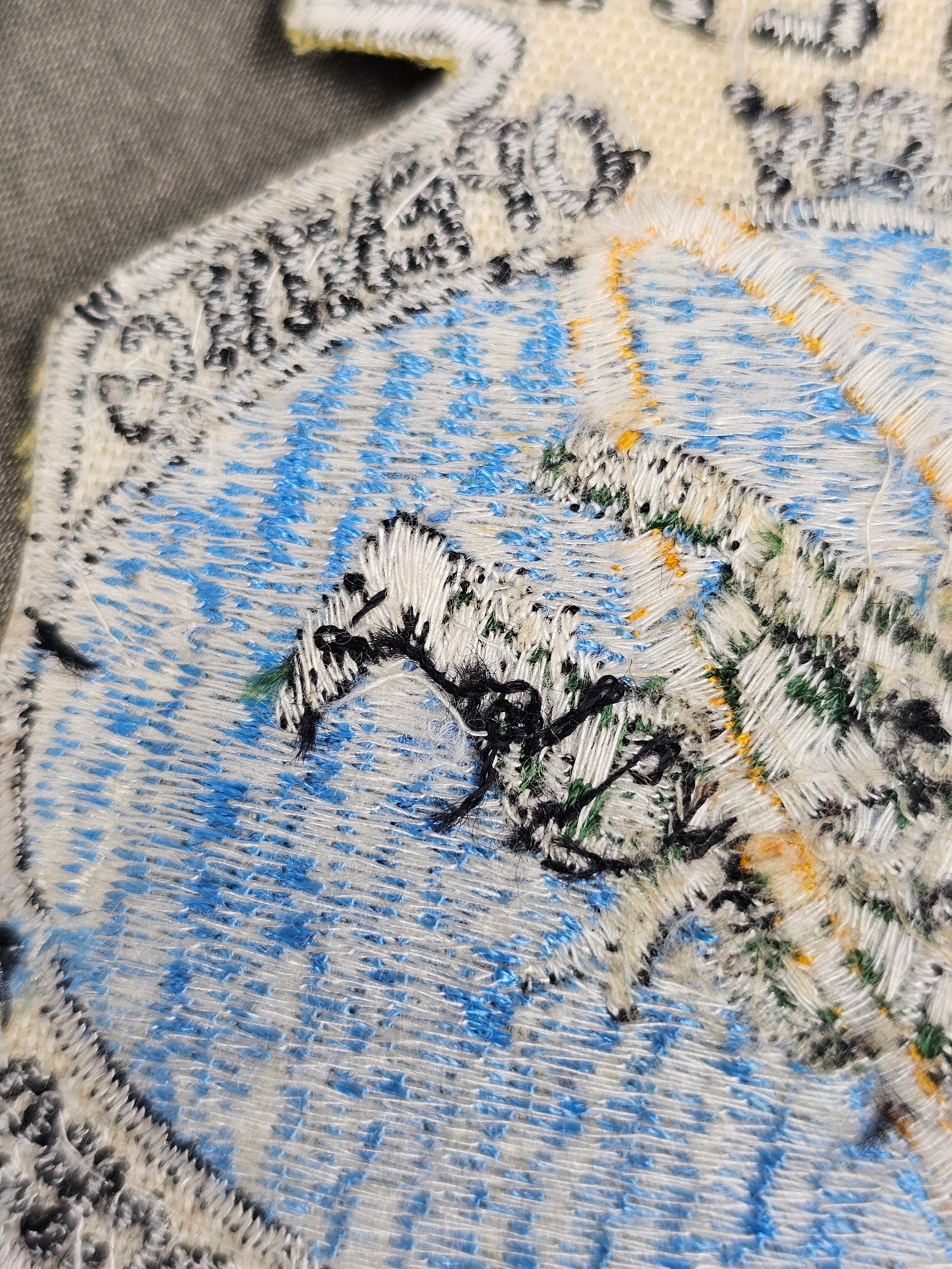 12TH SPECIAL FORCES AIRBORNE HALO PATCH — image 4