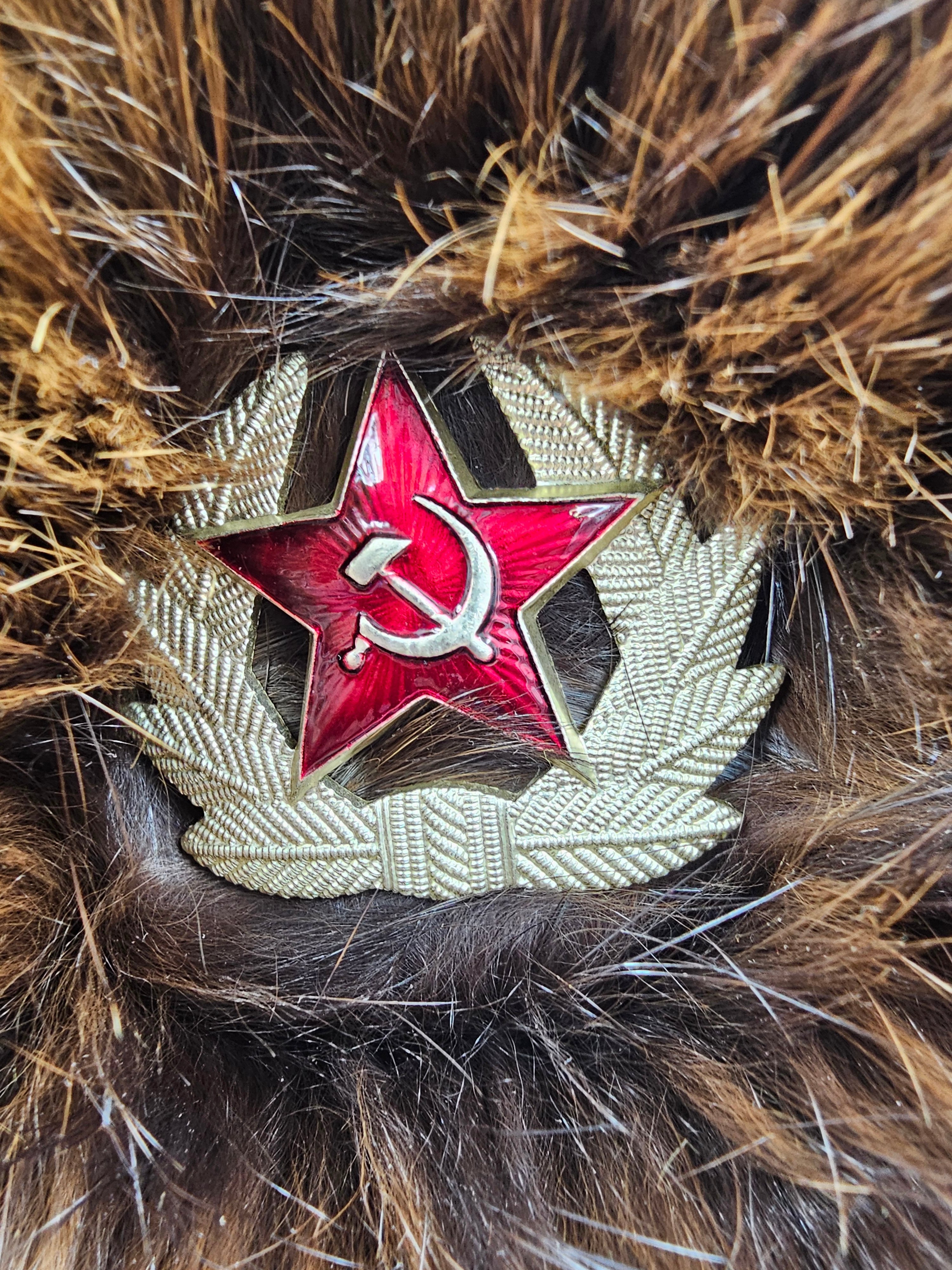 FALL OF BERLIN WALL ERA SENIOR ARMY OFFICER FUR USHANKA — image 2