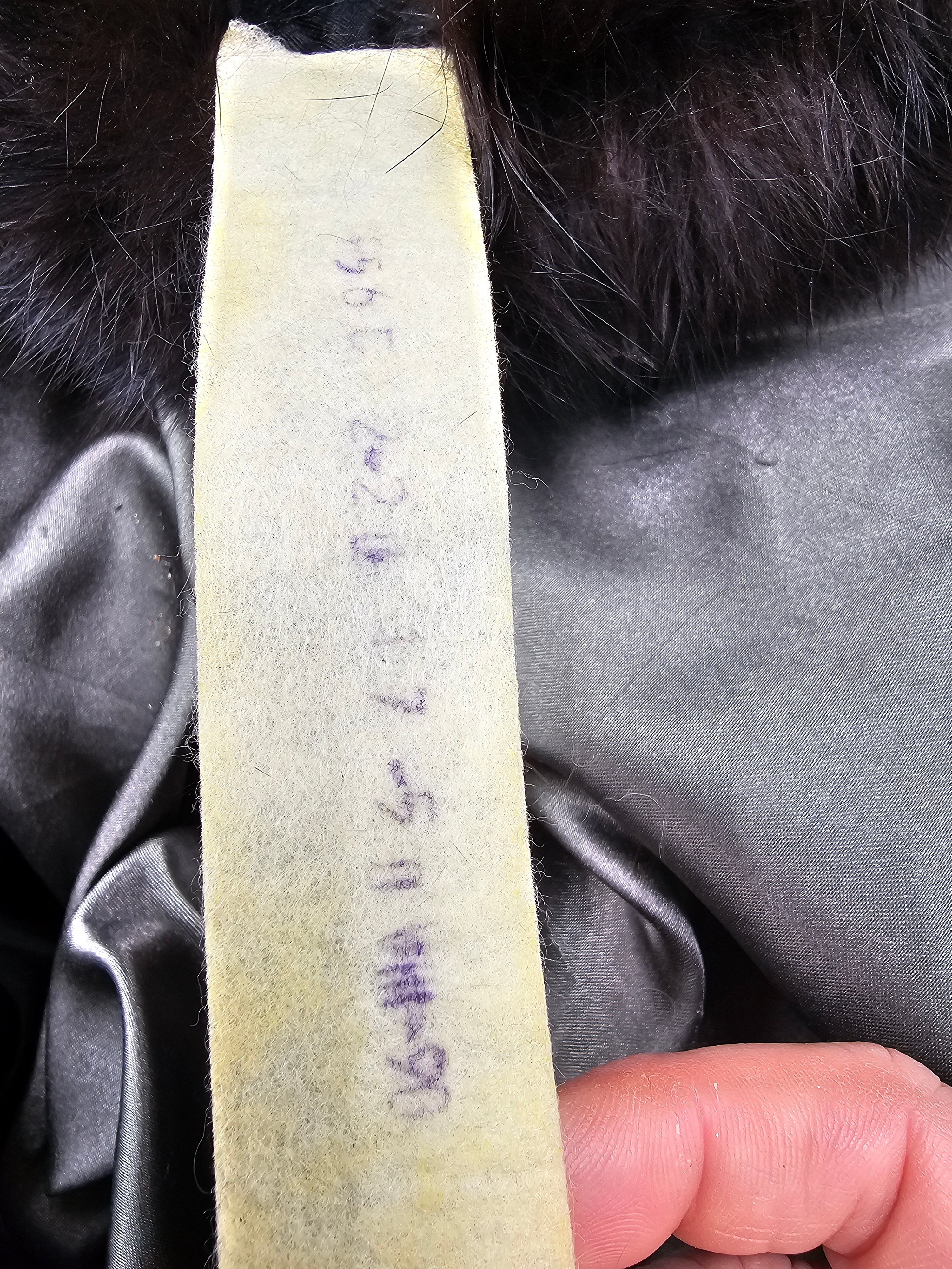 FALL OF BERLIN WALL ERA SENIOR ARMY OFFICER FUR USHANKA — image 6