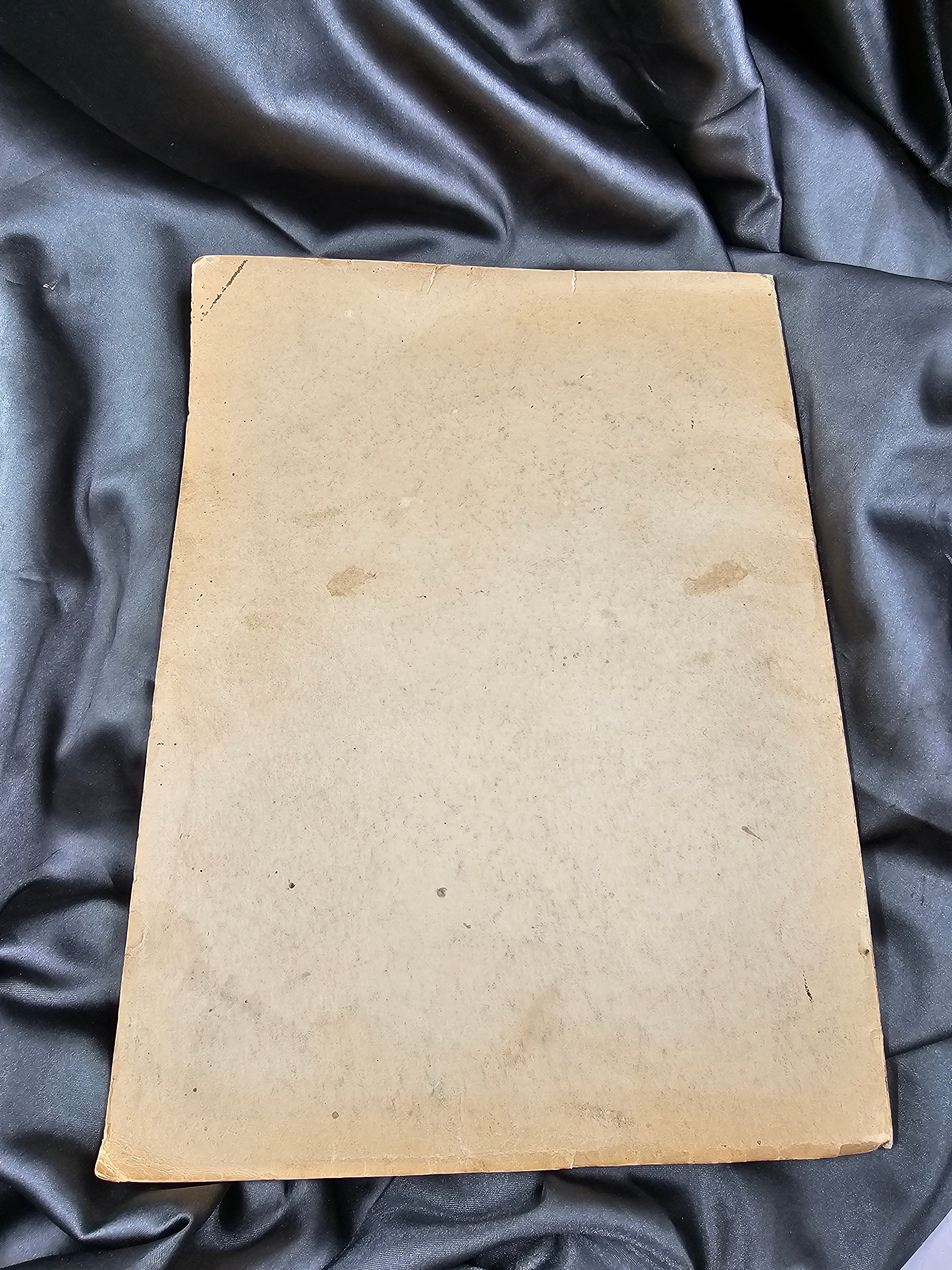 WWI CAMP LEWIS 213th ENGINEER YEAR BOOK — image 7