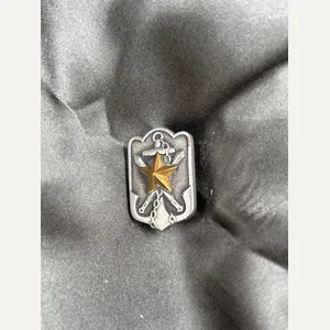 WWII ERA JAPANESE VETERAN PIN