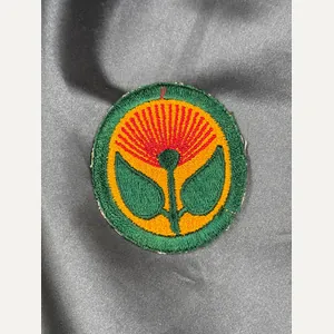 WWII HAWAIIAN COASTAL DEFENSE PATCH