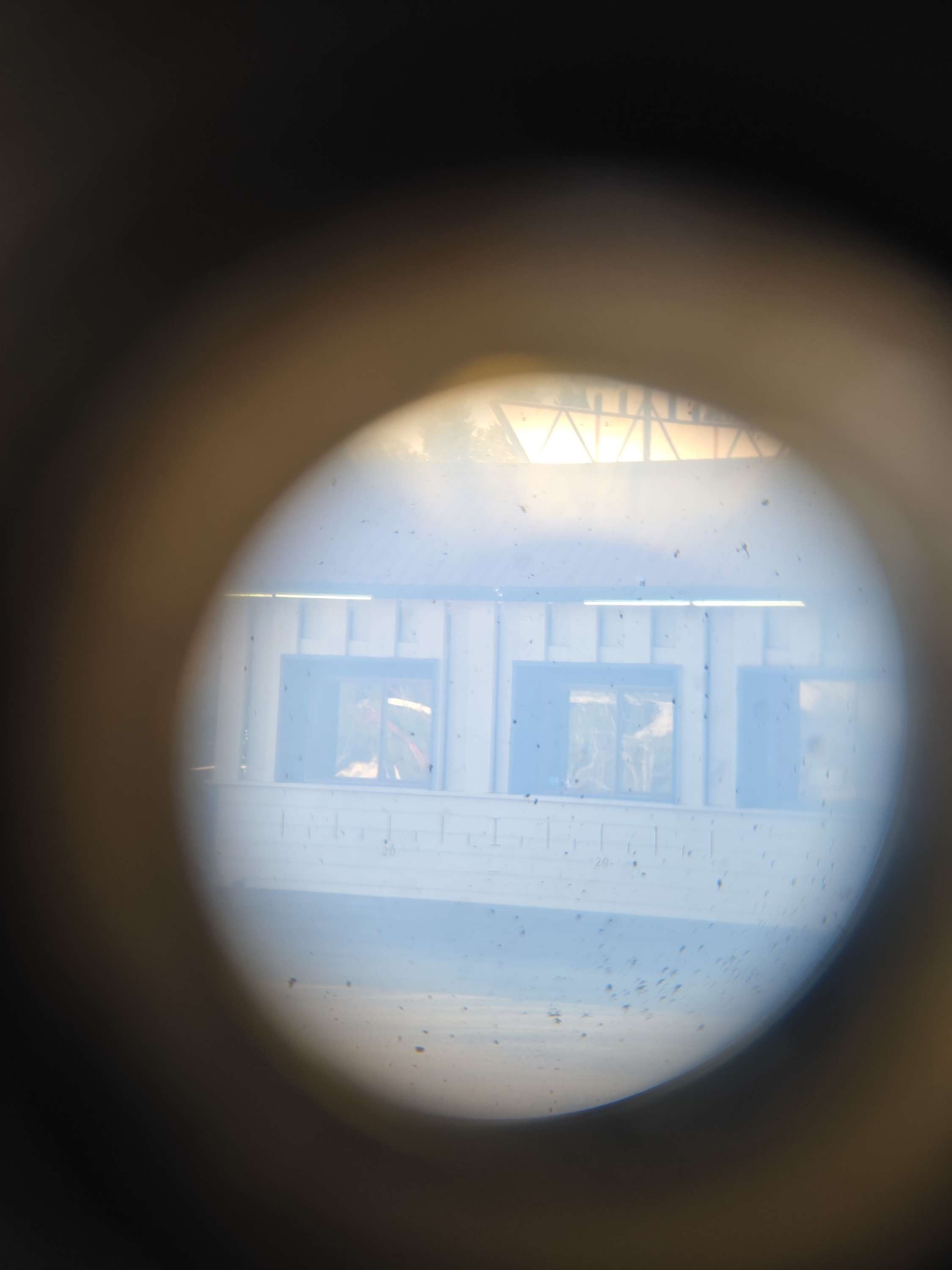 WWII German 6x30 Binoculars with Case — image 6