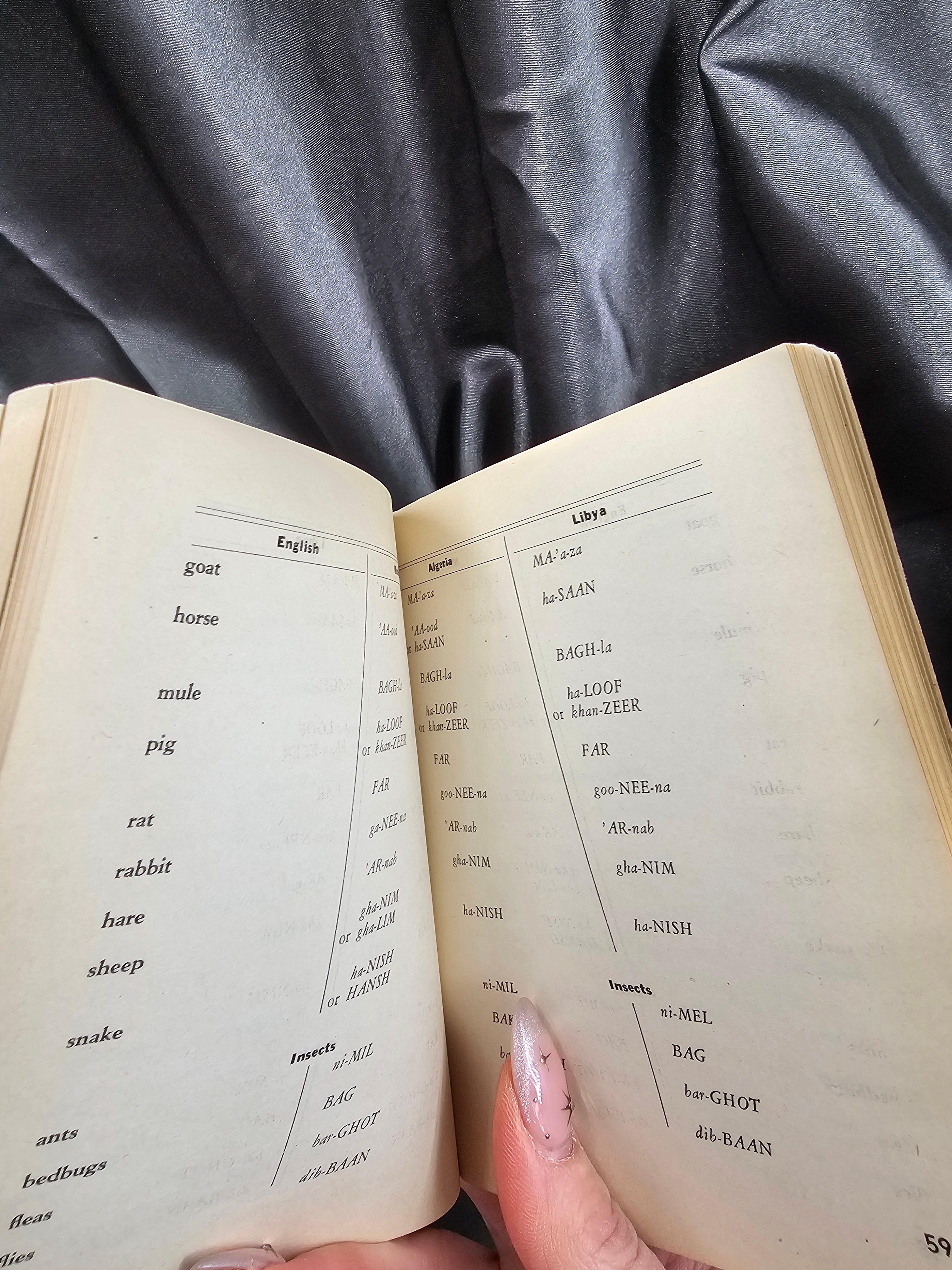 WWII US LANGUAGE GUIDE TO NORTH AFRICA — image 2