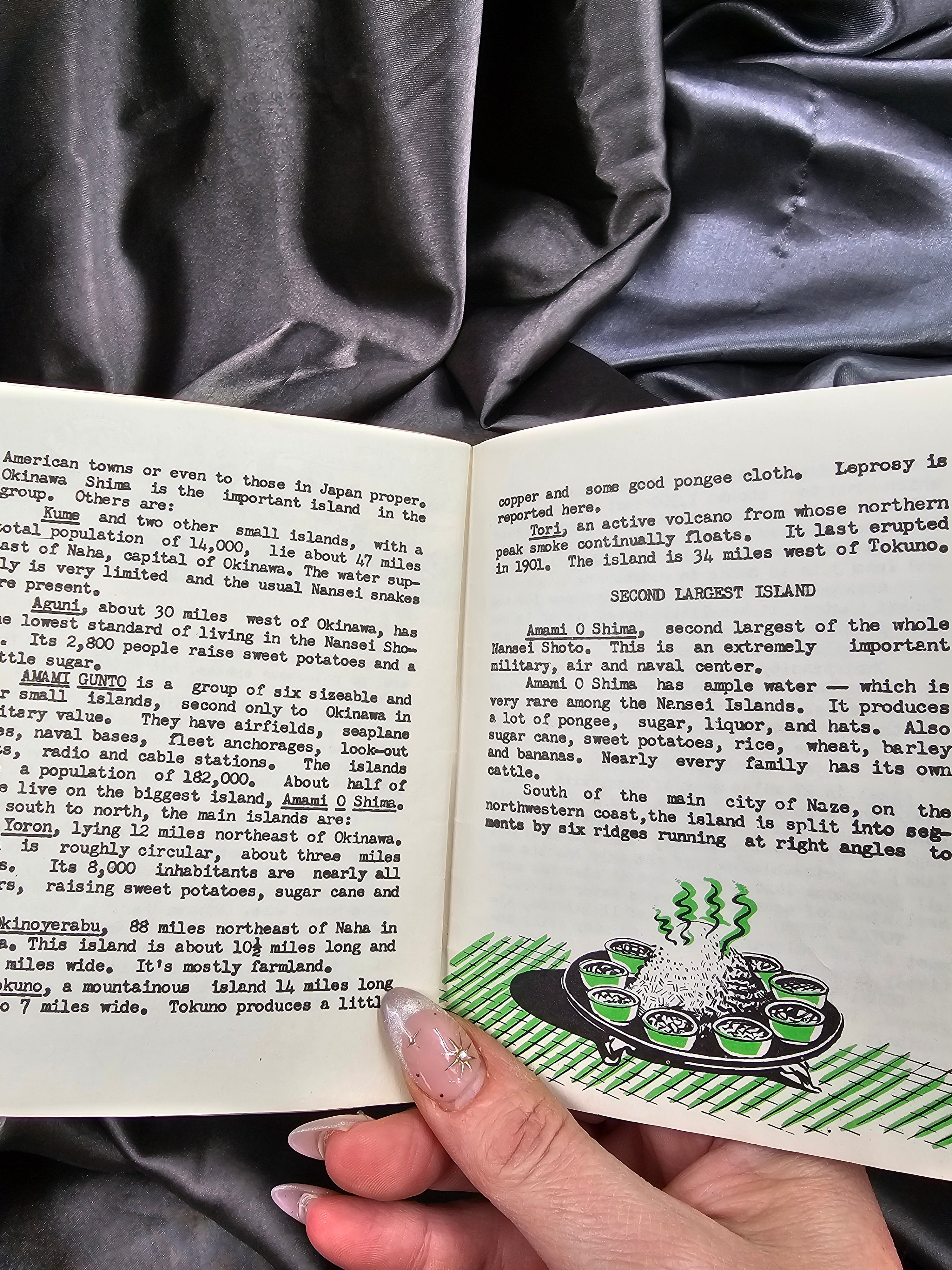 WWII US NANSET SHOTO - A POCKET GUIDE — image 5