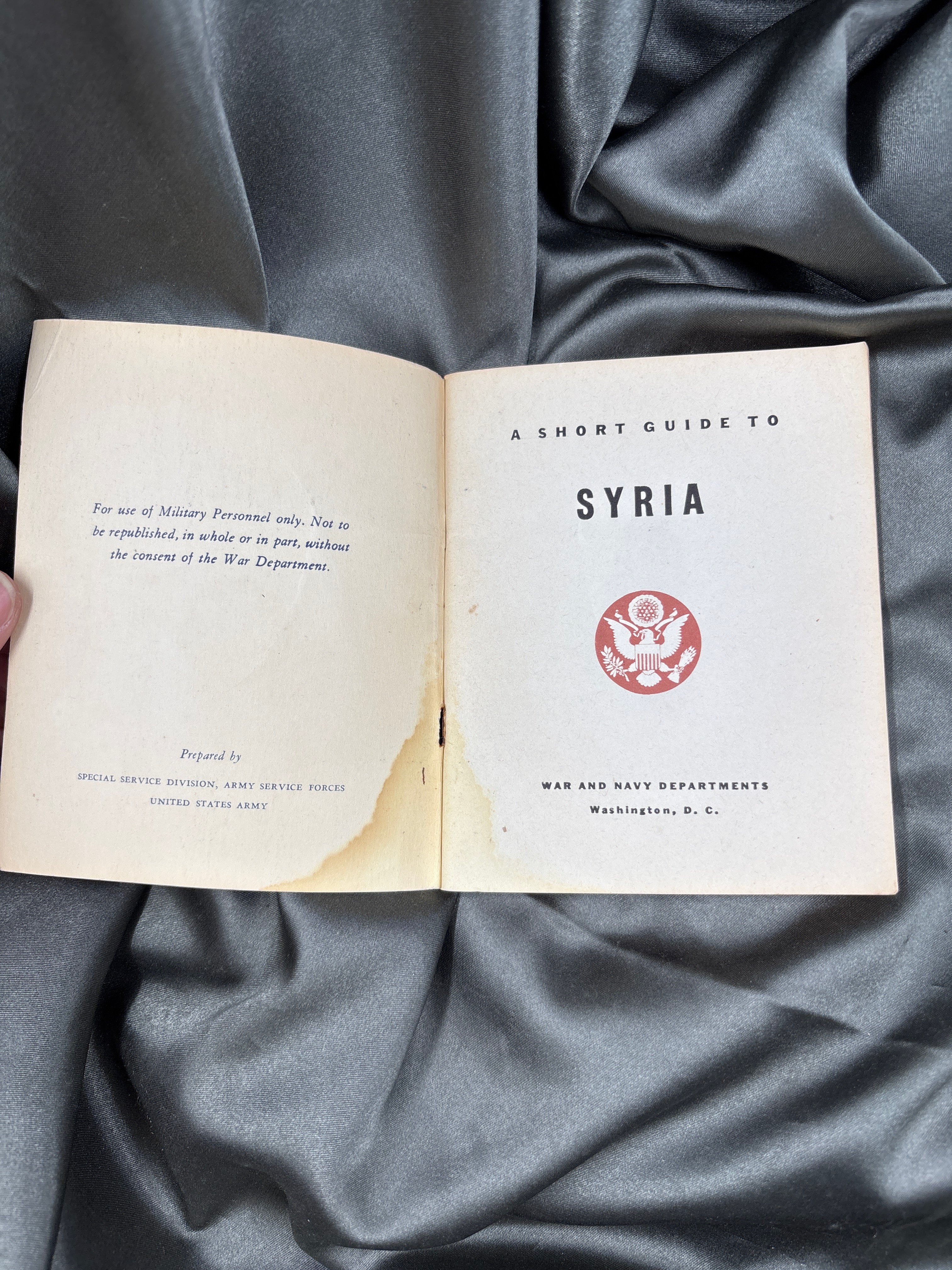 WWII SHORT GUIDE TO SYRIA — image 2