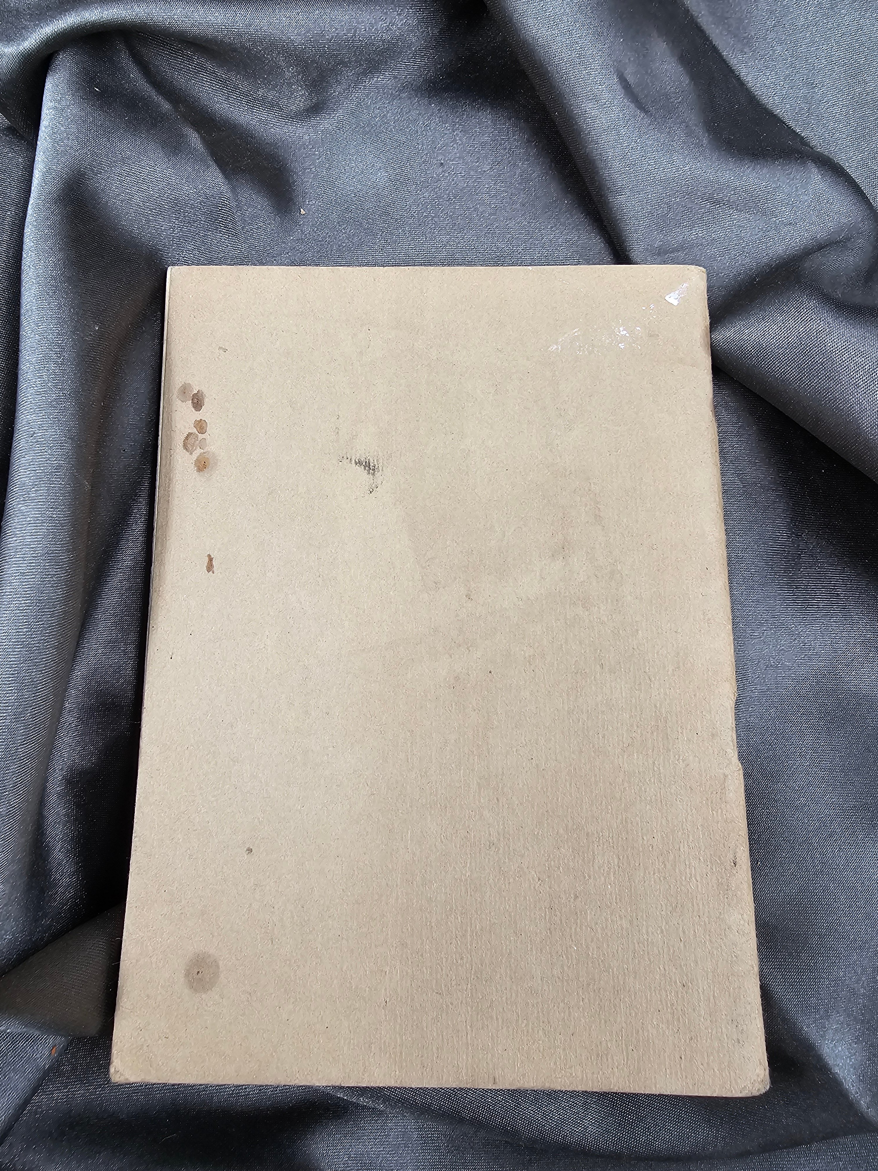 WWI ERA MANAGEMENT OF THE AMERICAN SOLDIER AEF MAJOR GENERAL DAVID SHANKS — image 4