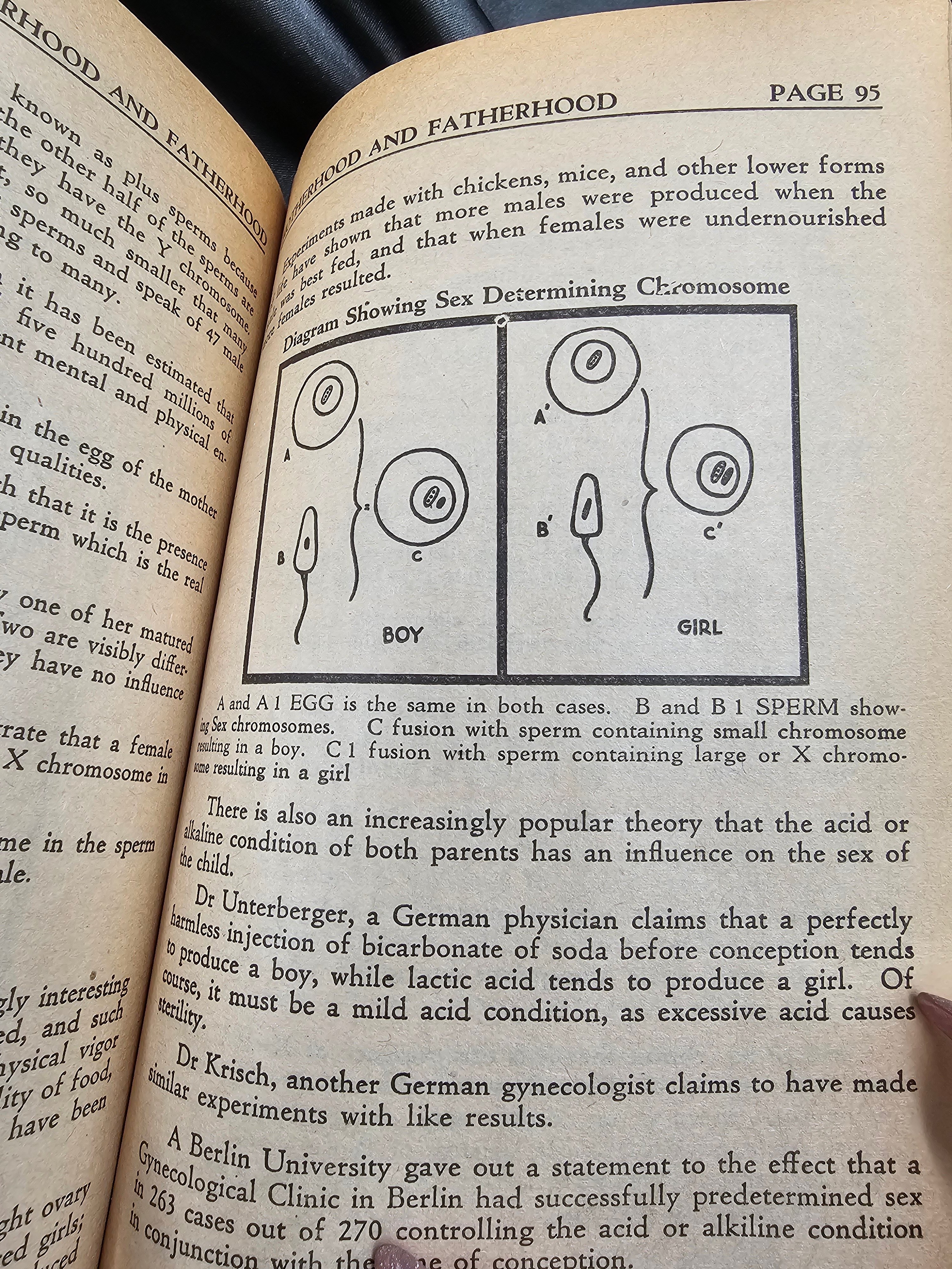 1930s BOOK YOUR SEX QUESTIONS ANSWERED — image 4