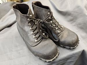 Swiss Army Mountain Boots