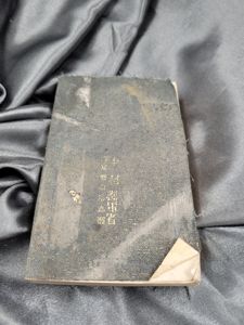 1924 JAPANESE SPECIAL DIGNITARY ESCORT MANUAL