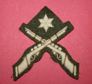 WW2 Best Combined Rifle and LMG Shot Skill at Arms …