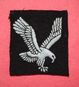 WW2 Army Air Corps Embroidered Eagle