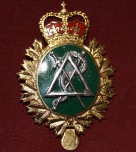 Canadian Forces Dental Services Cap Badge