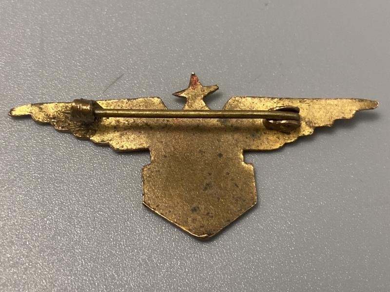 WW2 French Free Forces Aviation Pin Badge — image 2