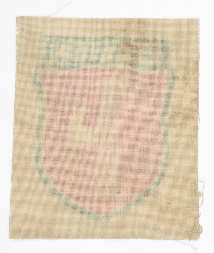 PSA12 Rare Organisation Todt sleeve shield for Italian workers — image 3