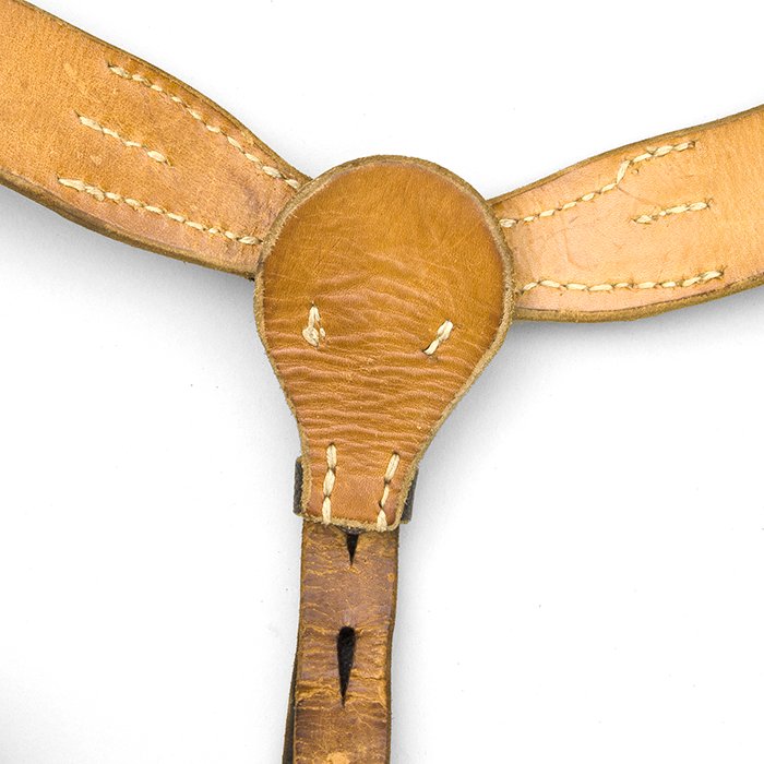 AGM2 Very nice equipment support Y straps — image 8