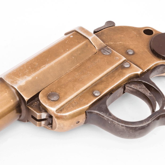 DMA6 Faded Heer tropical belt and buckle set — image 6