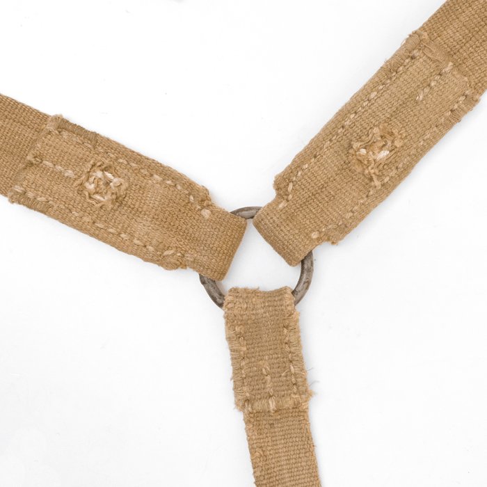 GAA9 Luftwaffe tropical Y equipment straps — image 6