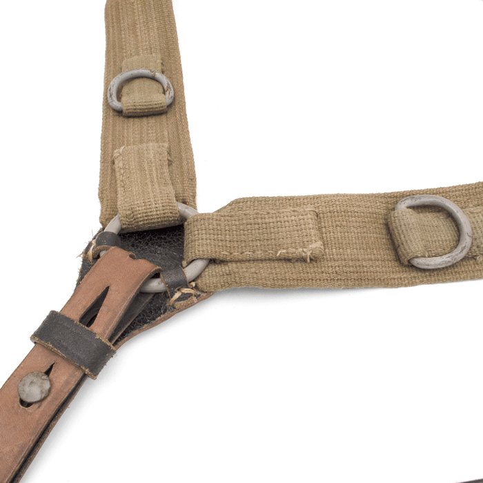 ACZ1 Heer tropical Y straps — image 3