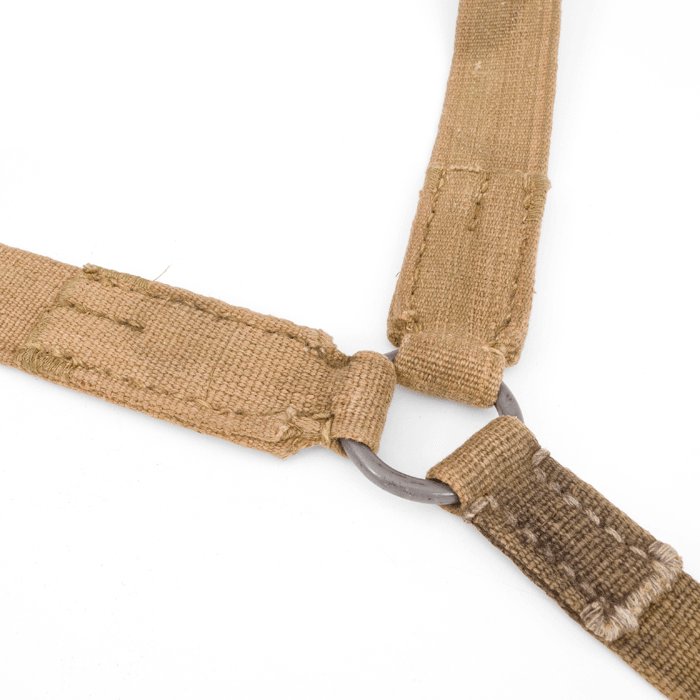 AMA7 Luftwaffe tropical Y-straps with two tropical D-rings — image 5