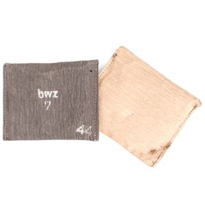 41A2E Disposable goggles in paper pouches