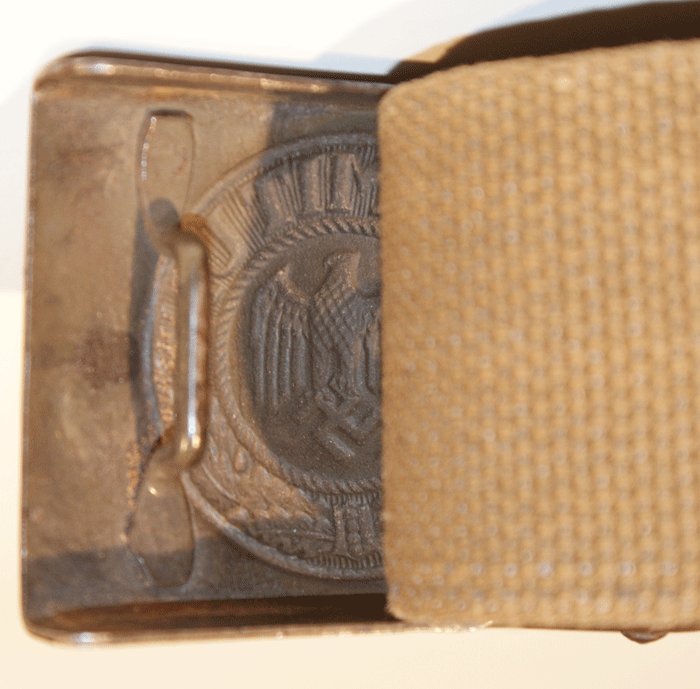 Heer EM tropical web belt and matching buckle — image 4