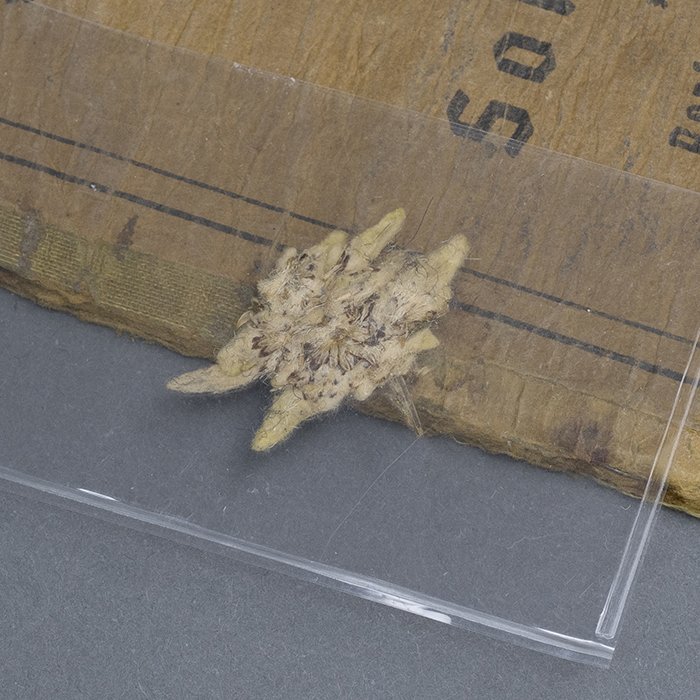 HUB35 Comprehensive Soldbuch grouping for a Heer Panzergrenadier Gefreiter from 3. Panzer-Division (Berlin Bear) — image 8