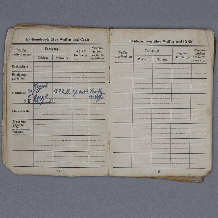 HUP76 Well used Waffen-SS LSSAH Soldbuch for a young Sanitäter — image 9